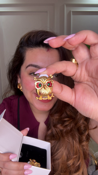Golden Owl Eyes Earrings – 18K Gold Plated